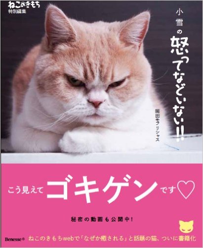 ヤンキーみたいな動物の画像を貼るトピ