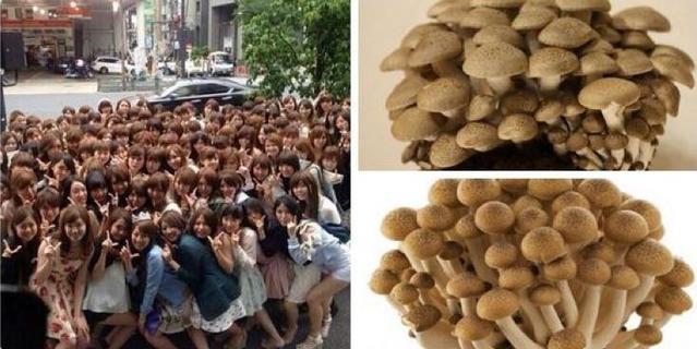 日本人女性は世界一モテない？ - にじ魂