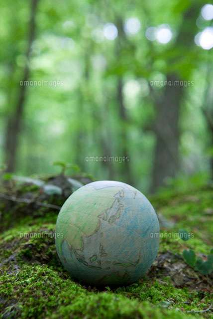 世界のため、地球のため、私たちはなにをするべき？