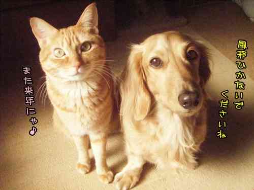 良いお年をと言いたいだけのトピ