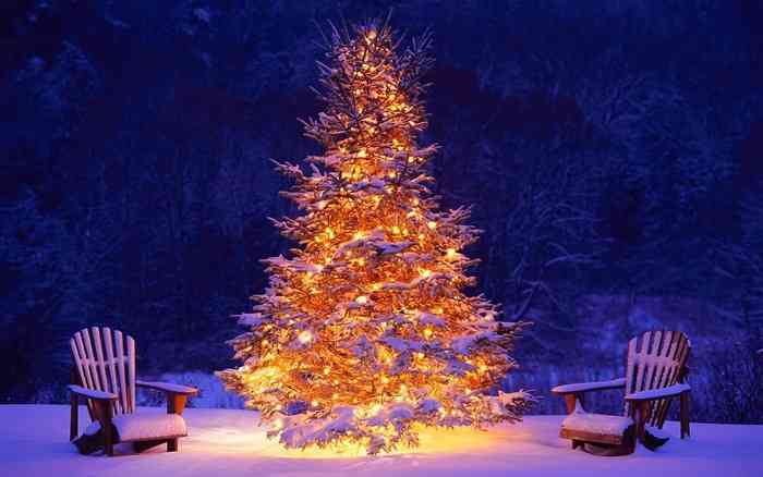 クリスマスツリーの画像を貼っていくトピ