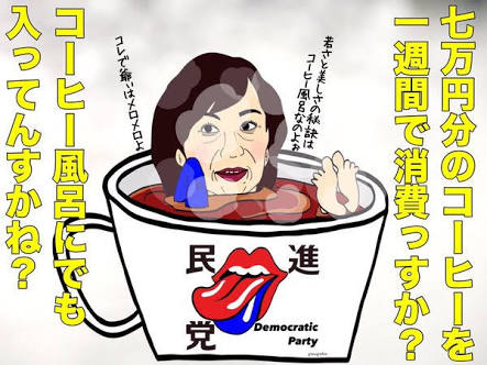 民進党の山尾志桜里議員またガソリンプリカ購入　流行語大賞で笑顔も炎上必至