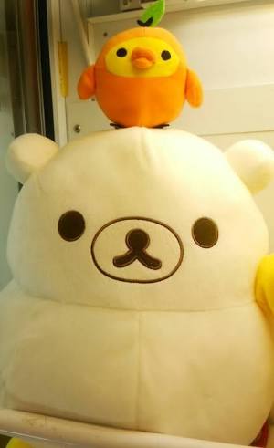 ふわふわが集まるトピ