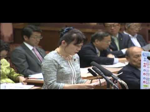 2013.5.20決算委員会質疑「HPVワクチン（子宮頸がん予防ワクチン）」について - YouTube