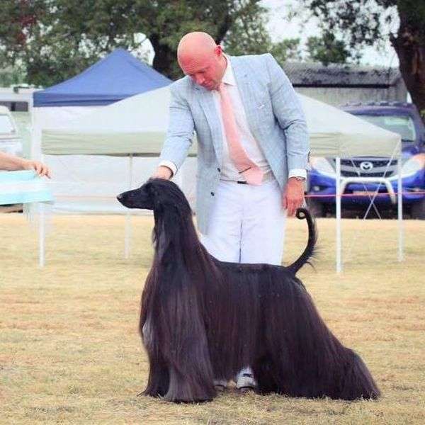 珍しい犬種を語りたい！
