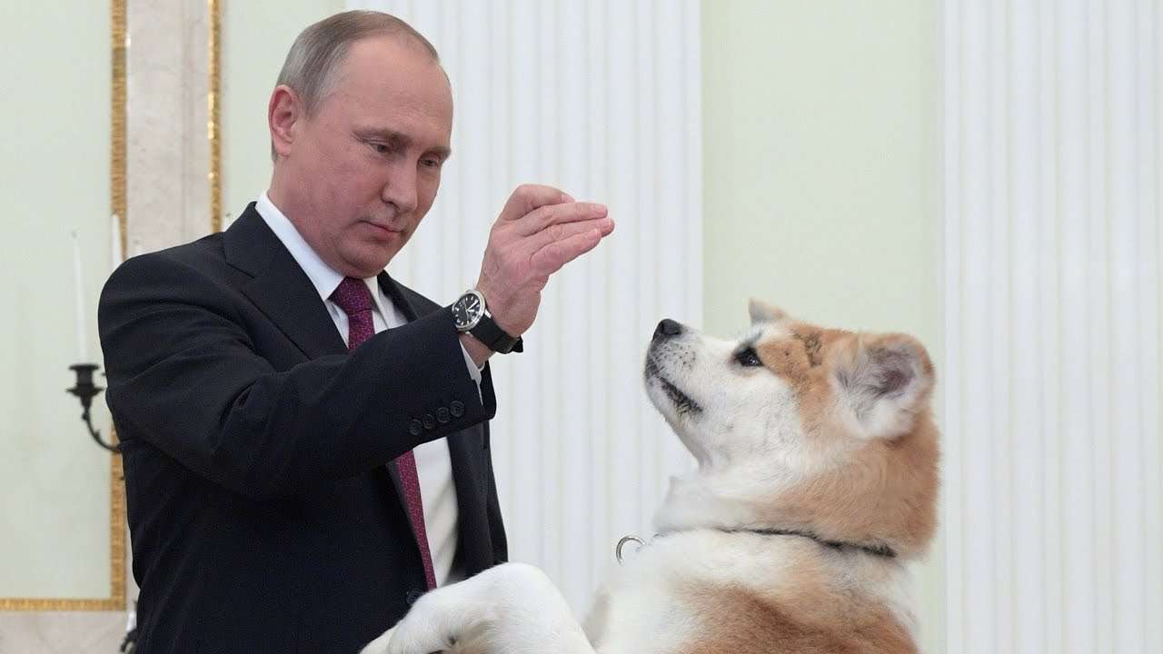'She is being a guard dog' - Putin jokes as his pet barks at Japanese journalists - YouTube