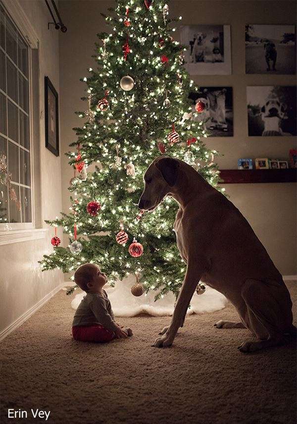 クリスマスツリーの画像を貼っていくトピ