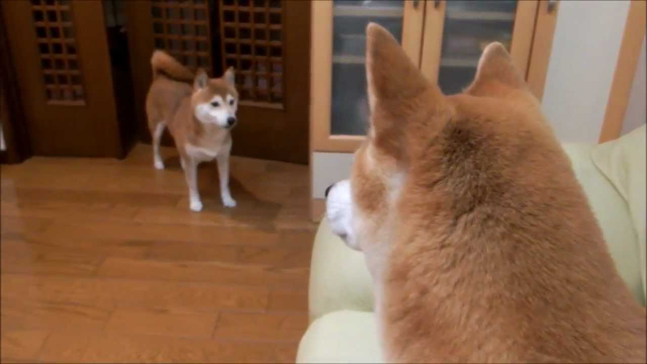 歌詞に合いそうな画像を貼るトピ