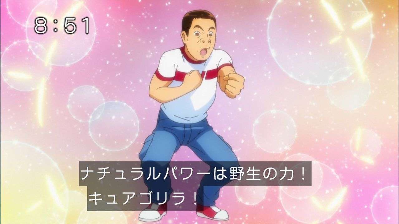 「プリキュア」好きだった人
