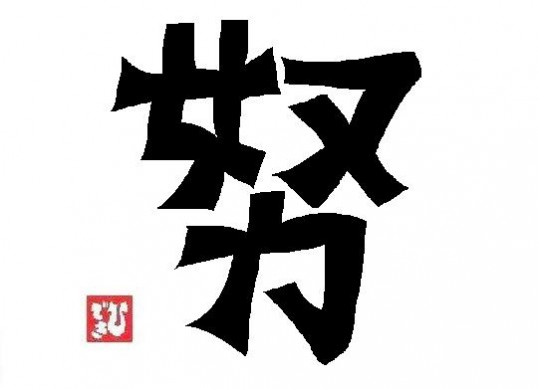 努力の甲斐(効果)があったこと