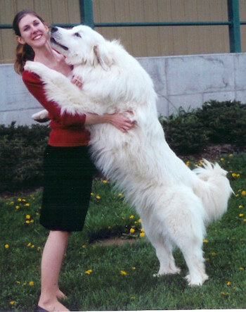 珍しい犬種を語りたい！