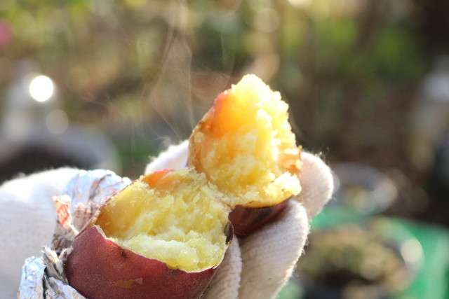 「野菜ならいくら食べてもOK」は間違い!? ダイエット中はこの野菜に要注意