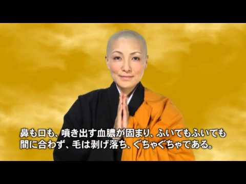 ペットがあなたを選んだ理由―ペットが教える飼い主との出会いの意味 - YouTube