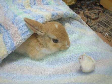 面接の合否待ちの人のトピ