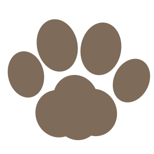 犬好きの為の雑談