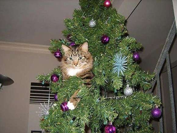 クリスマスツリーの画像を貼っていくトピ