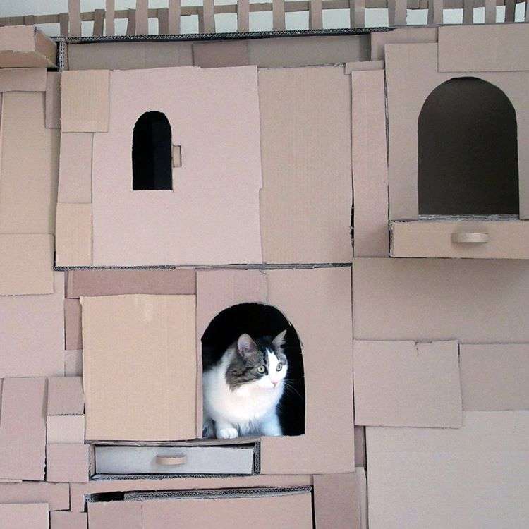 「世界一の猫タワーだニャン♡」飼い主さん、段ボールで愛を込めたDIY！