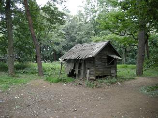 古い家に住んでる人