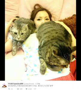 しょこたん、愛猫“ショコラ”のお尻を嗅ぐ姿が「猫仙人!」