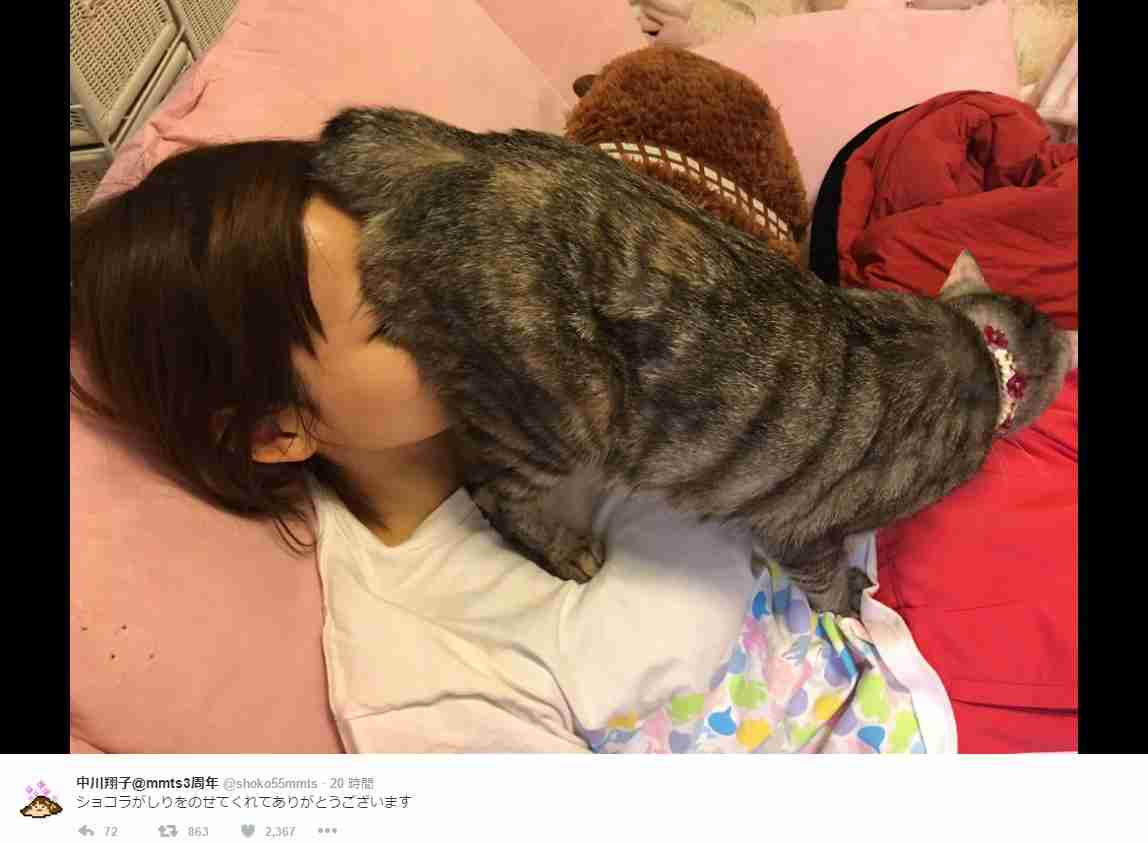 【エンタがビタミン♪】しょこたん、愛猫“ショコラ”のお尻を嗅ぐ姿が「猫仙人！」 | Techinsight|海外セレブ、国内エンタメのオンリーワンをお届けするニュースサイト