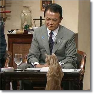 おじさんの和む画像をください