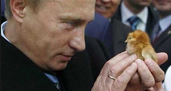 プーチン大統領への秋田犬贈呈見送り　ロシア側から断りの連絡