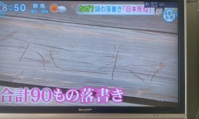 韓国籍の男が稲荷神社でキツネ像壊す…100体近くの被害届とも関連調査へ