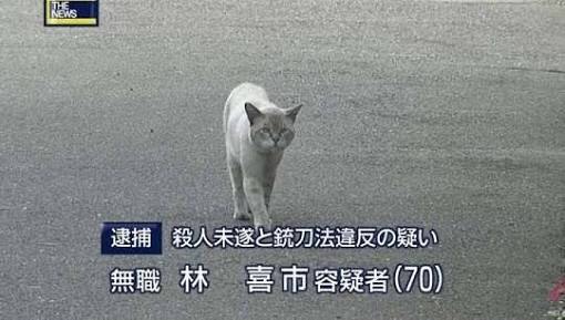 2016ガルちゃん流行画像大賞