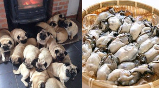 保存したくなる画像