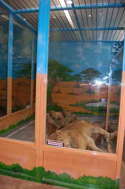 滋賀県守山市　めっちゃさわれる動物園は恐怖の館だった。（泣） - 愛しの天使はＦeＬＶ…幸せであるために♪