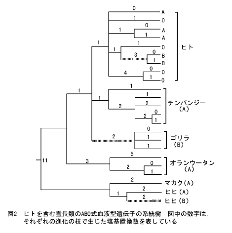 遺伝学電子博物館