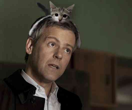 なぜそこに！？と思う猫画像