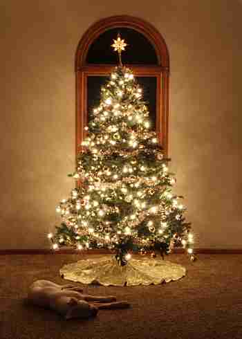 クリスマスツリーの画像を貼っていくトピ