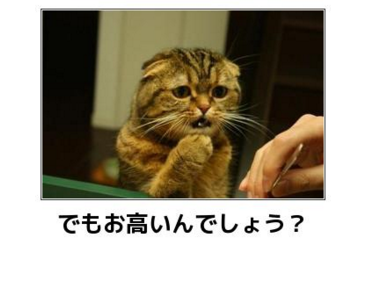 グッときた画像を貼るトピ