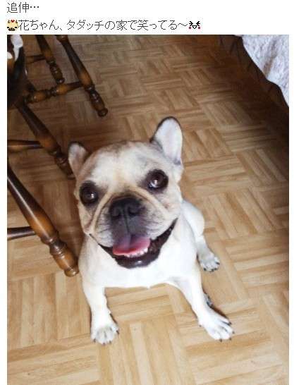 北斗晶 術後5年の生存率50 からの早すぎる仕事復帰の裏事情 ガールズちゃんねる Girls Channel