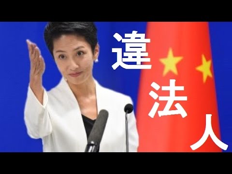 【速報】蓮舫を二重国籍で刑事告発！！　⇒　正式に受理ｷﾀ━━━━━━(°∀°)━━━━━━！！！　これは本気で　お　わ　っ　た　な　ｗｗｗ - 中国・韓国・在日崩壊ニュース