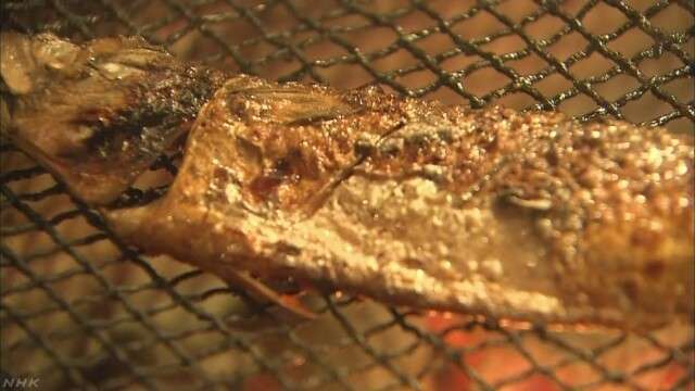 庶民の魚 サバに異変 何が｜NHK NEWS WEB