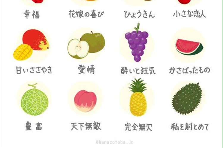 スイカだけ何か違う…たくさんある果物の花言葉、一つだけ冷蔵庫に入れた時の感想だった | FUNDO［ファンドゥ］