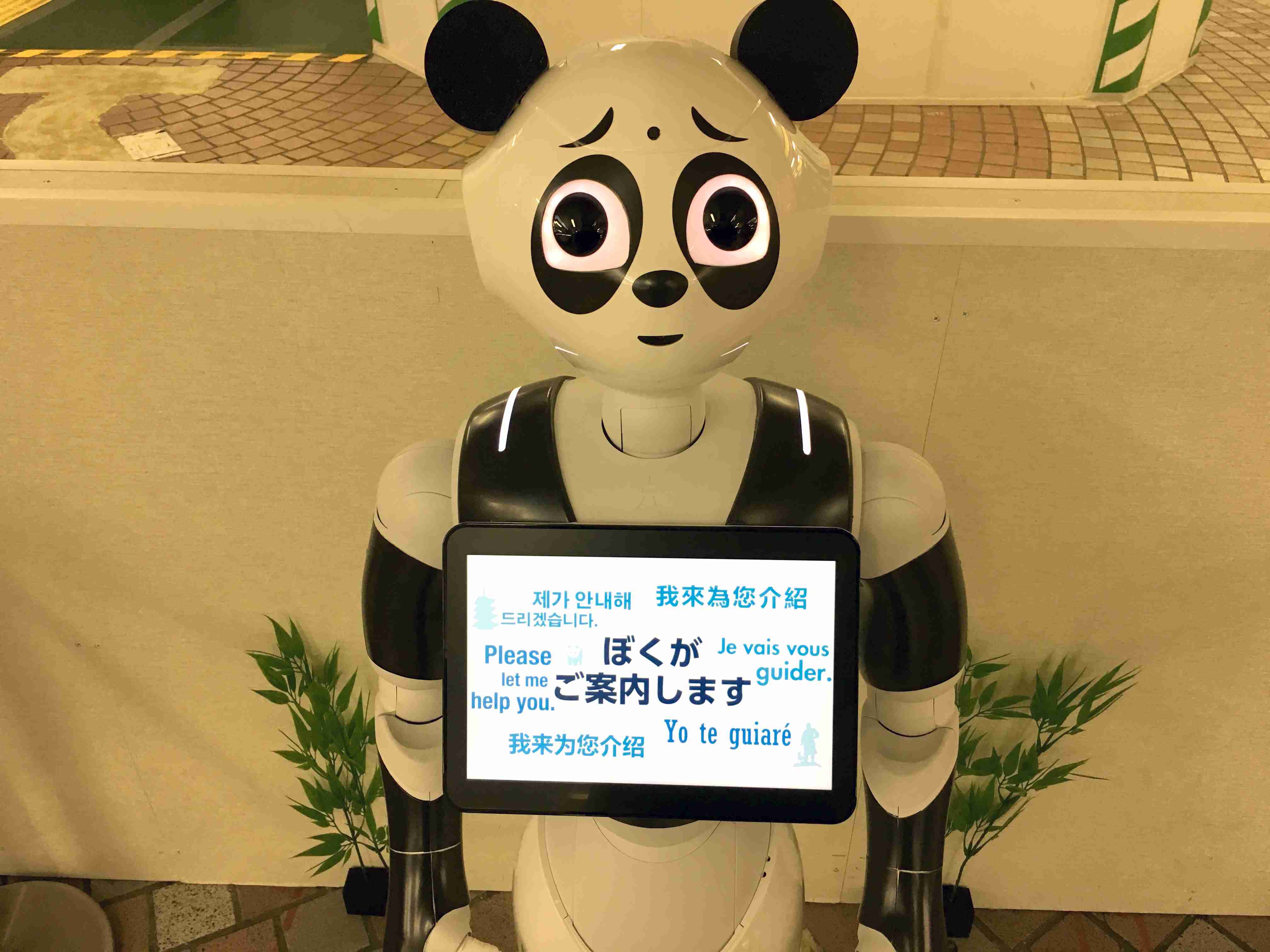 上野駅の『パンダPepperくん』の目つきが話題にw