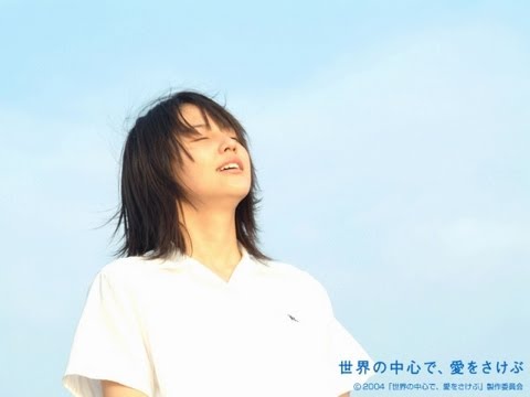 芸能人のファンになった作品