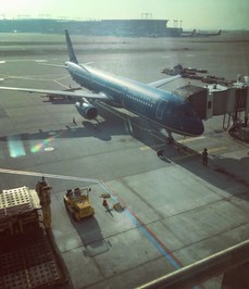 韓国の仁川空港で、職員のミスで航空機の貨物室を脱出したペット犬を射殺し物議｜ニフティニュース