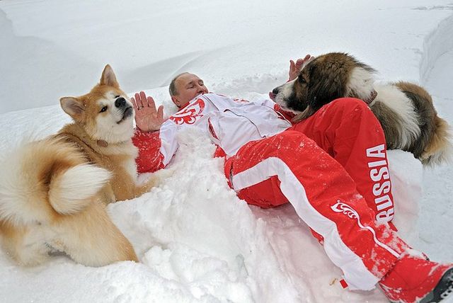 犬好きの為の雑談