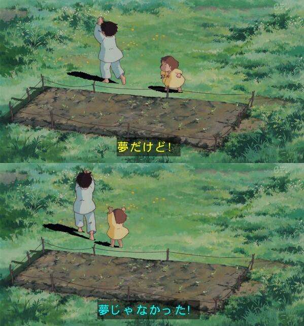 見たい初夢