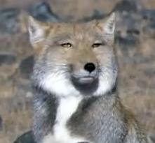 写真うつりが悪い人あるある