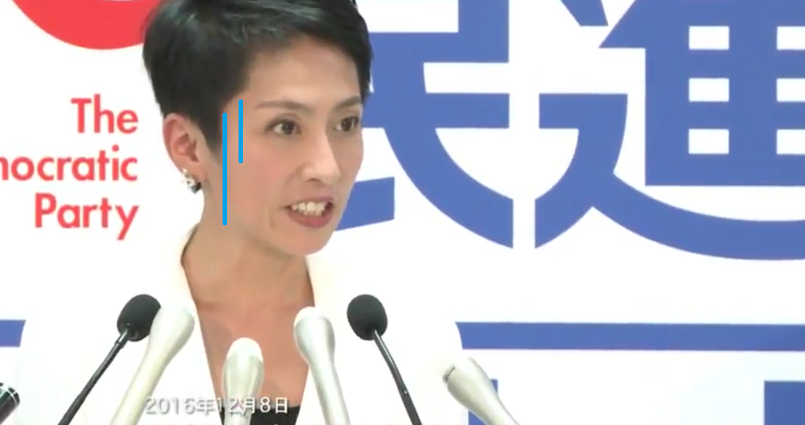    安倍総理のカジノ法案を批判する蓮舫、2011年の民主党政権下でカジノ解禁担当大臣だったことが判明 | netgeek