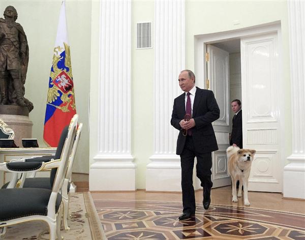 プーチン露大統領に贈った秋田犬「ゆめ」生きていた！日本メディアのインタビューに登場