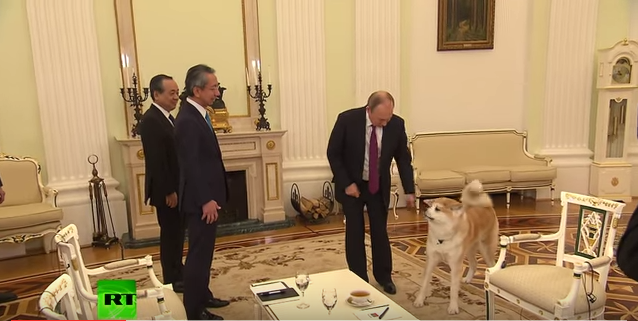 プーチンの愛犬ゆめが日本マスコミ代表に吠え続ける【動画】｜世界の裏側ニュース