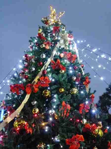 クリスマスツリーの画像を貼っていくトピ