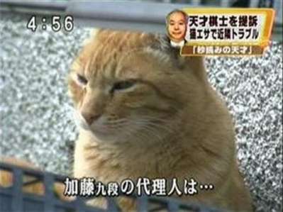 色んなテロップ画像を貼るトピ