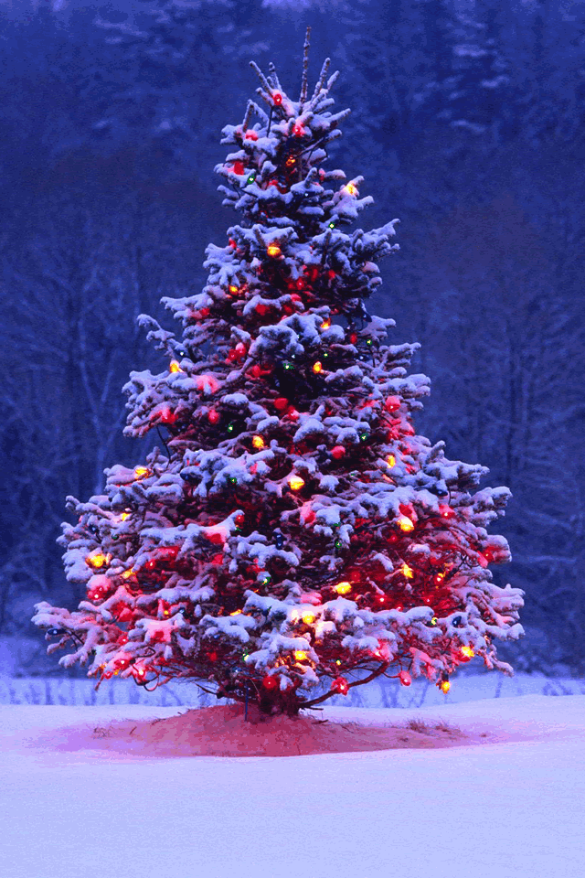 クリスマスツリーの画像を貼っていくトピ